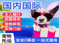 二连浩特机场物流国际宠物托运 【国